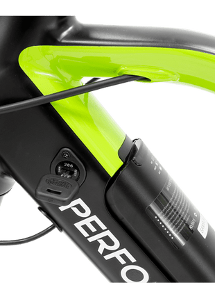 Bicicleta eléctrica - Argento Performance Pro, 250 W, 25 km/h, Shimano 9 Velocidades, LCD, Negro y Verde